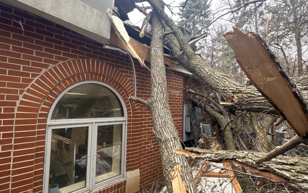 Exterior Property Protection