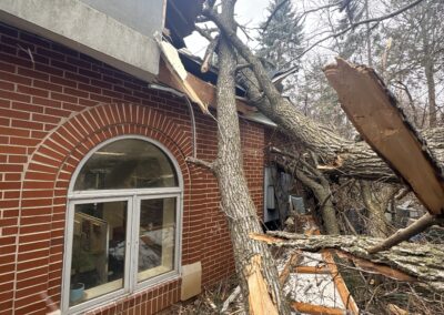 Tree Fall On House/ Wind and Storm Damage