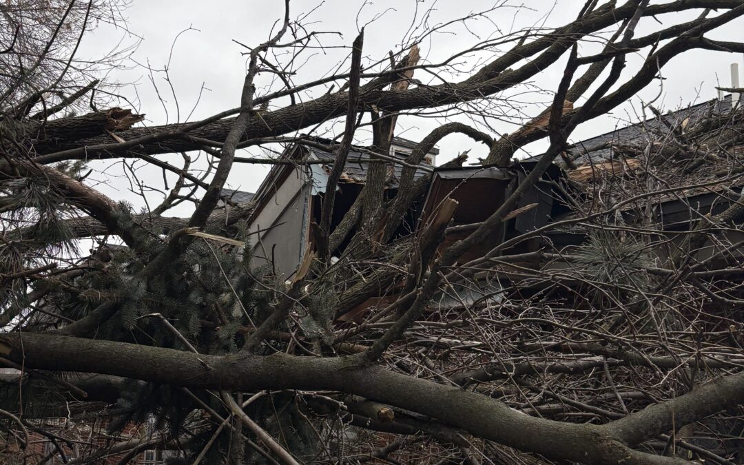 Southeast Wisconsin Property Damage Prevention