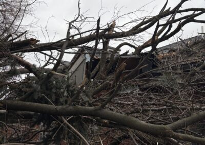 Wind and Storm Damage/ Tree Fall on House